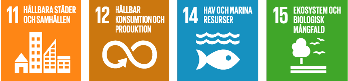 De globala målen nummer 11,12,14,15: Hållbara städer och samhällen, Hållbar konsumtion och produktion, Hav och marina resurser samt Ekosystem och biologisk mångfald.