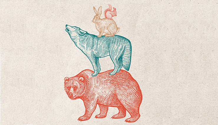 Tecknad affisch till utställningen Fantastiska djur. Visar björn, varg, hare och ekorre.