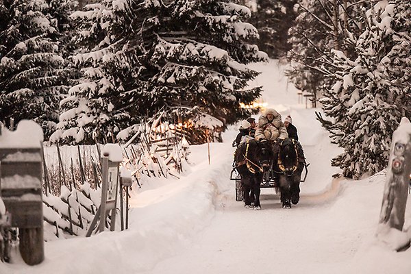 Häst och och släde i vintrig miljö. Foto: Anna-Clara Eriksson.