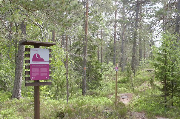 Alttext: Skylt som beskriver natur vid starten av Naturstigen Fotograf: Sundsvalls kommun Bildtext: -