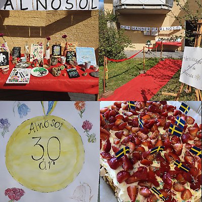 Collage med bilder från Alnösols 30 års firande
