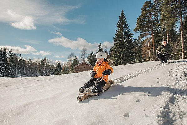 Barn åker kälke på Norra Berget. Foto: Sundsvalls kommun.